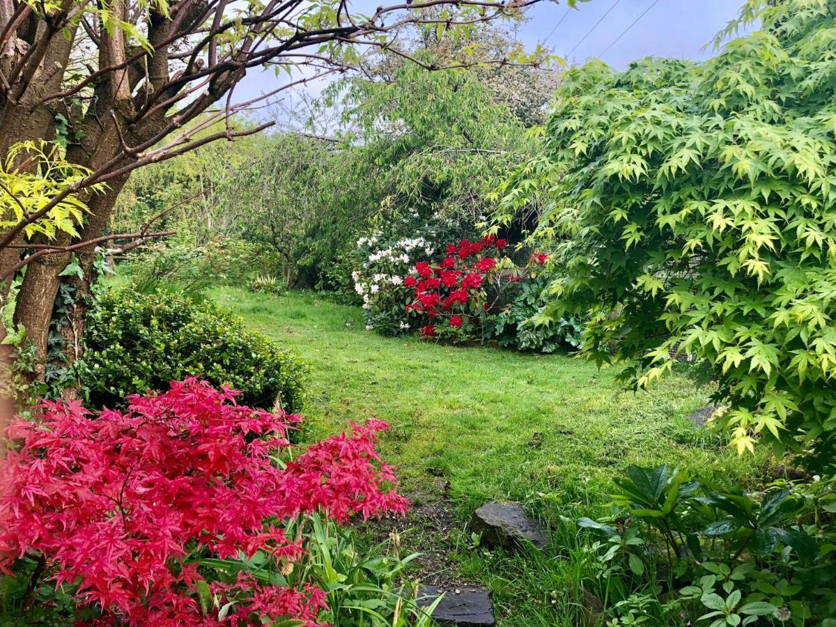 شقة Cilffriw Farm نيث المظهر الخارجي الصورة